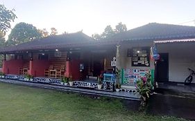 Gosela Bali